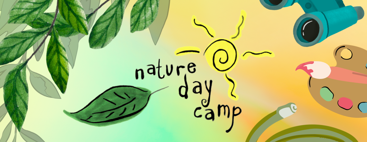 Week 6: Summer Nature Day Camp